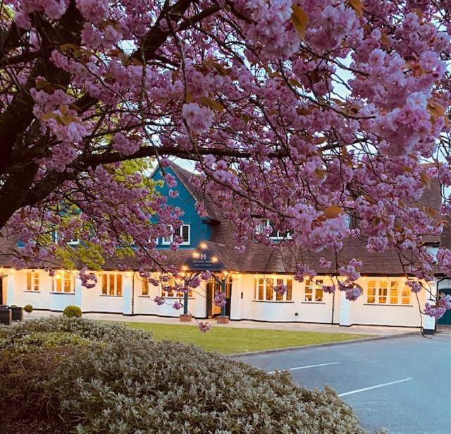 Hockley House Hotel ฮอคลีย์ฮีธ ภายนอก รูปภาพ